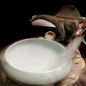 Dinosaur Dry Ice Serving Dish